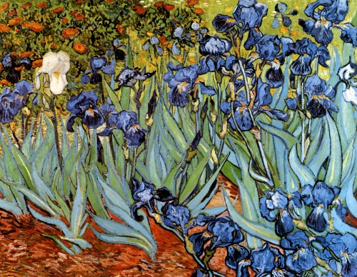 Vincent van Gogh - Irises